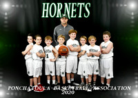 7-8 BOYS HORNETS