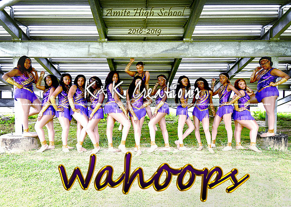 5x7 amite high school wahoops team