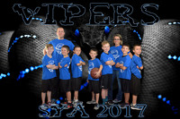 8X12  VIPERS TEAM