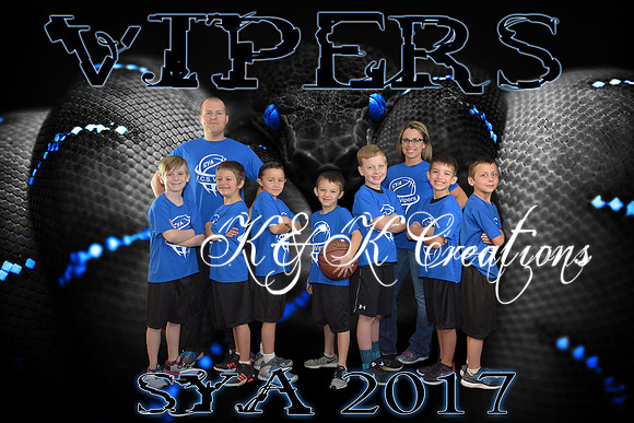 8X12  VIPERS TEAM