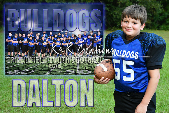DALTON FURCA MEMORY MATE