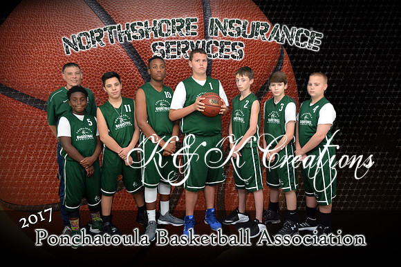 northshore insurance services
