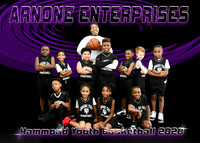 7-8 ARNONE ENTERPRISES