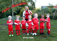 5x7 little monsters sibley team