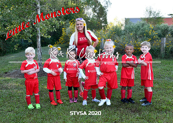 5x7 little monsters sibley team