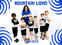 5x7 mountain lions team sya