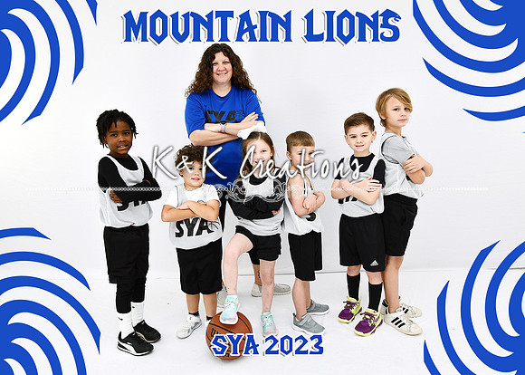 5x7 mountain lions team sya