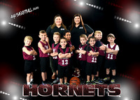 Boys 4-5-6 Team 1 Hornets
