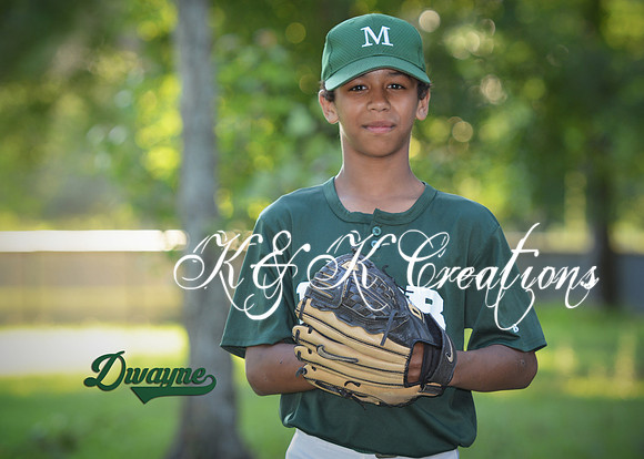 dwayne_perkins_1