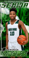 DAVOISCIA MOSLEY BANNER