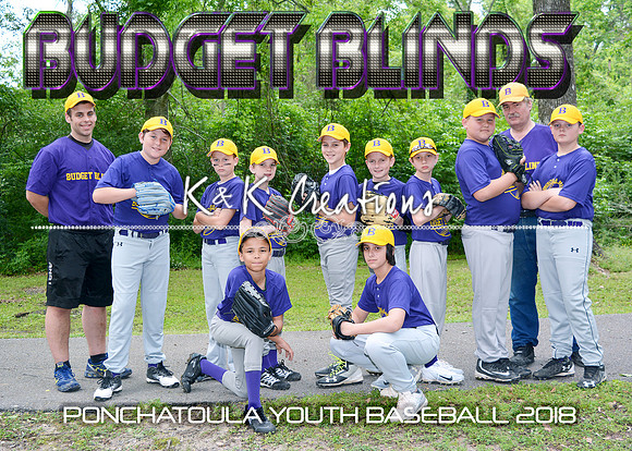 5x7 11-12 B Budget Blinds Team