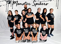 10-12 Monster Spikers