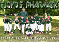 6 Coach Pitch Floyds Pharmacy
