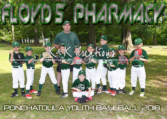 5X7 6CP FLOYDS PHARMACY TEAM