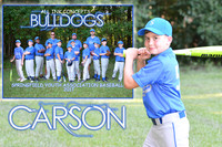CARSON LEXIA MEMORY MATE