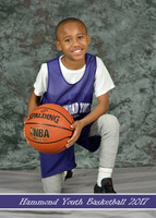 aishawn_bridges_1