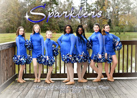 SMS Sparklers 2018-2019