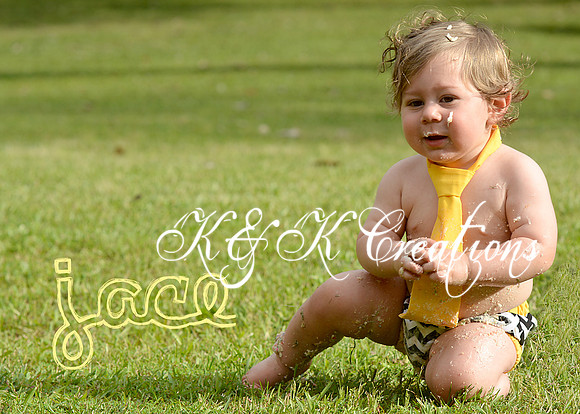 KRS_1195_jace