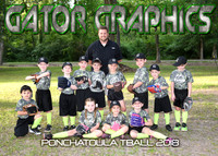 Gator Graphics