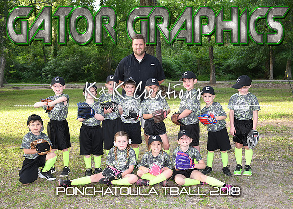 5X7 GATOR GRAPHICS TBALL TEAM