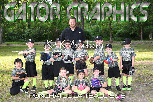 8X12 GATOR GRAPHICS TBALL TEAM