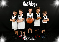 Team #18 Bulldogs