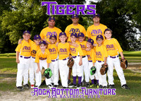 5x7 ROCK BOTTOM FURNITURE TIGERS TEAM
