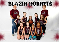 Blazin Hornets G4-6 - Darci