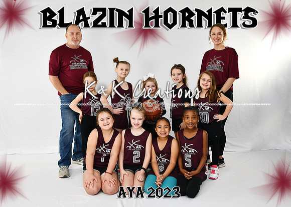 5X7 BLAZIN HORNETS G4-6 DARCI TEAM