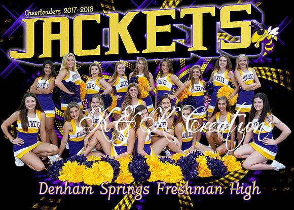 5x7 DSFH Team Picture