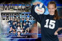 MALLORI ASPRION MEMORY MATE