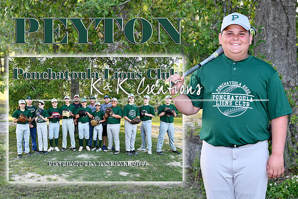 PEYTON MAYER MEMORY MATE