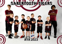 5X7 SABERTOOTH TIGERS B4-6  LUKE TEAM