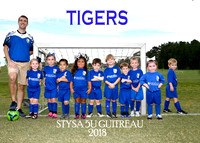 5u BRENT GUITREAU TIGERS