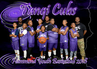 5X7 11-13 TANGI CUBS - OTTO TEAM