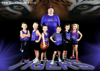 5-6 Tigers