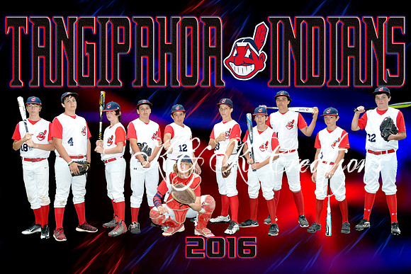 8x12 INDIANS TEAM