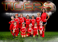 7 - 8U GIRLS - TIGERS -DEMOUY