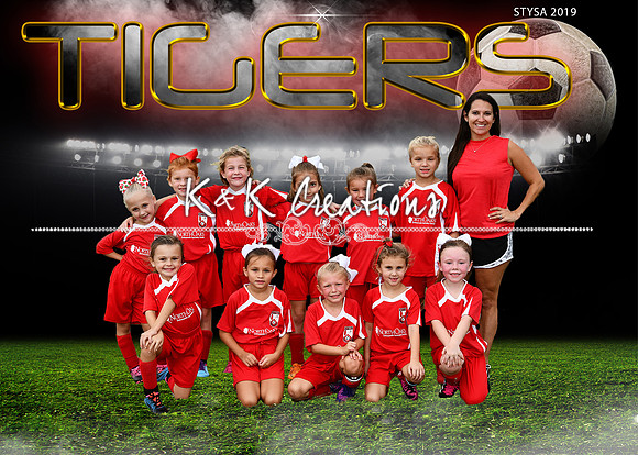 5x7 7 - 8U girls Demouy Tigers Team