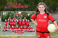 addison taylor memory mate