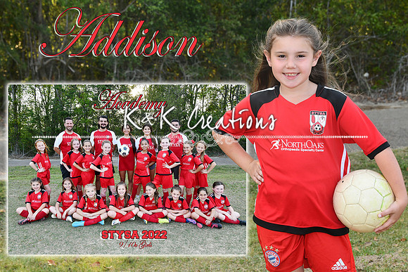 addison taylor memory mate