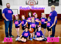 4-6 Girls #4 Purple Unicorns