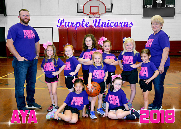 5x7 4-6gils #4 Purple Unicorns