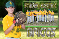 BRIGGS MITCHEL MEMORY MATE
