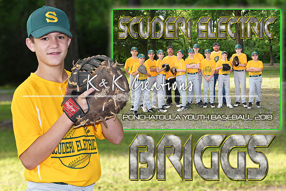 BRIGGS MITCHEL MEMORY MATE