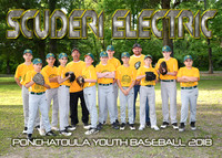 13/14 Scuderi Electric