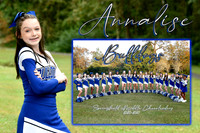 annalise memory mate