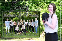 emily wilson memory mate