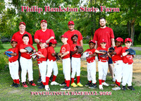 5x7 7 8b pb state farm team