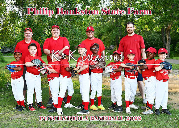 5x7 7 8b pb state farm team